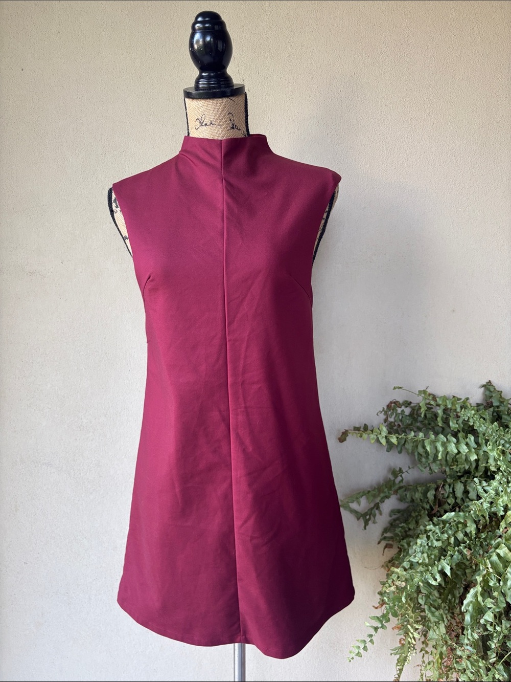 Tobi sleeveless maroon  dress